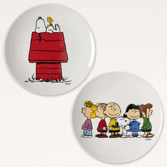 Peanuts plate set Snoopy & Gang